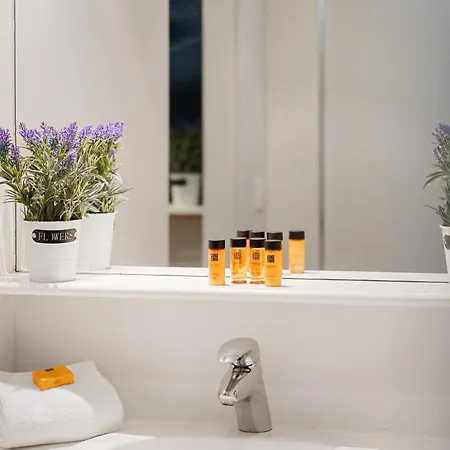 Sasea - Ground Floor With Garden Ньивпорт